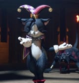 caitGXxztgRWgAEqcEi