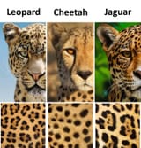 1737594836485903