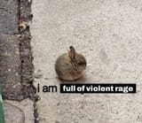 i am full of violent rage