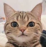 1748786548459
