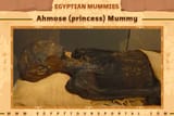 Ahmose-Princess-Mummy-Egypt-Tours-Portal-633114767