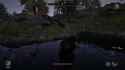 oblivion_spinning_bear_264_thumb.jpg