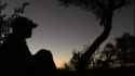 Leopard at sunset_thumb.jpg