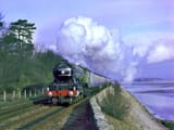 train