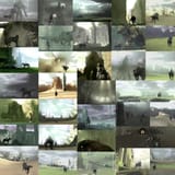 sotc collage