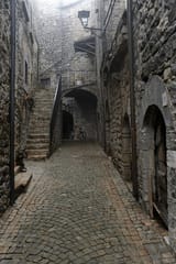 IMG_4467