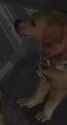 amogus_thumb.jpg