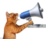 istockphoto-490310222-1024x1024