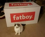fatboy