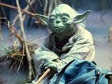yoda
