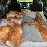 deer in truck