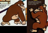 dk