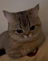 IMG_6796