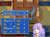 Fire Emblem (USA, Australia)-250717-212810