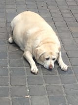 1675883970111417