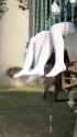 #ブルアカ QOZO7JzlEW2ifE6f_thumb.jpg