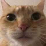 1748183615680760