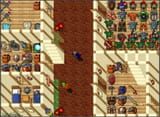 tibia-houses