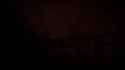 Shadow of the Erdtree Dragon_thumb.jpg