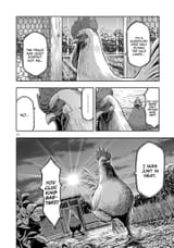 rooster