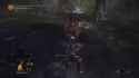 DS3 Stomp (1)_thumb.jpg