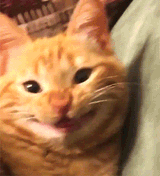175298362988934355