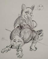 sonic_series___rouge_crushes_amy_