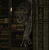 brain snail
