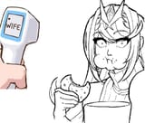 Wifescanner