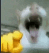 1735556631662559