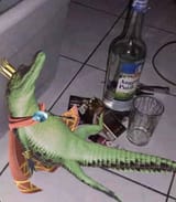 wasted
