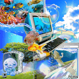 11698293_af4e8