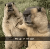 hol-up-let-him-cook-let-this-mf-cook