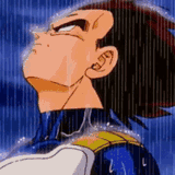vegeta-vegeta-rain