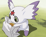 culumon