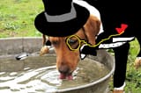 shlop shlop shlop[sound=https%3A%2F%2Ffiles.catbox.moe%2F7htvpm.mp3]