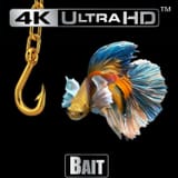 4K bait
