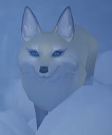 dumb ass fox