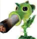 peashooter