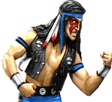Umk3_Nightwolf_pose