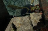 ELF