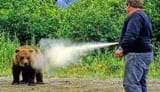 BEARSPRAY