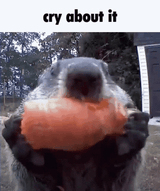 CryAboutIt