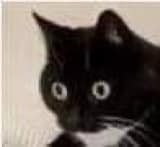 ohShit