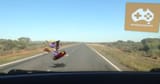 spyro