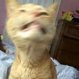 1727359669712336