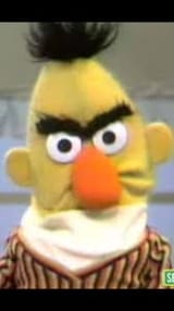 Bert
