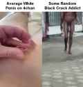1737349340459069_thumb.jpg
