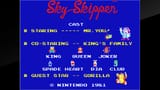 sky skipper