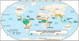 forests-deforestation
